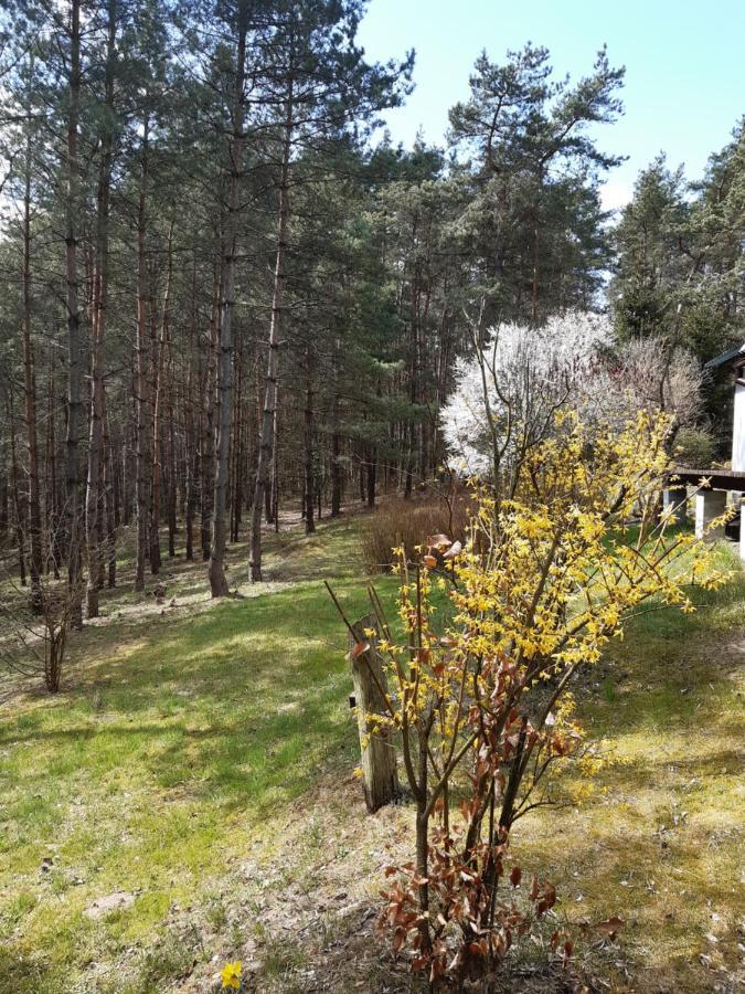 Lesna Polana Villa Górzno Dış mekan fotoğraf