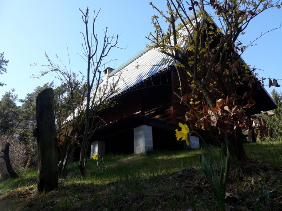 Lesna Polana Villa Górzno Dış mekan fotoğraf