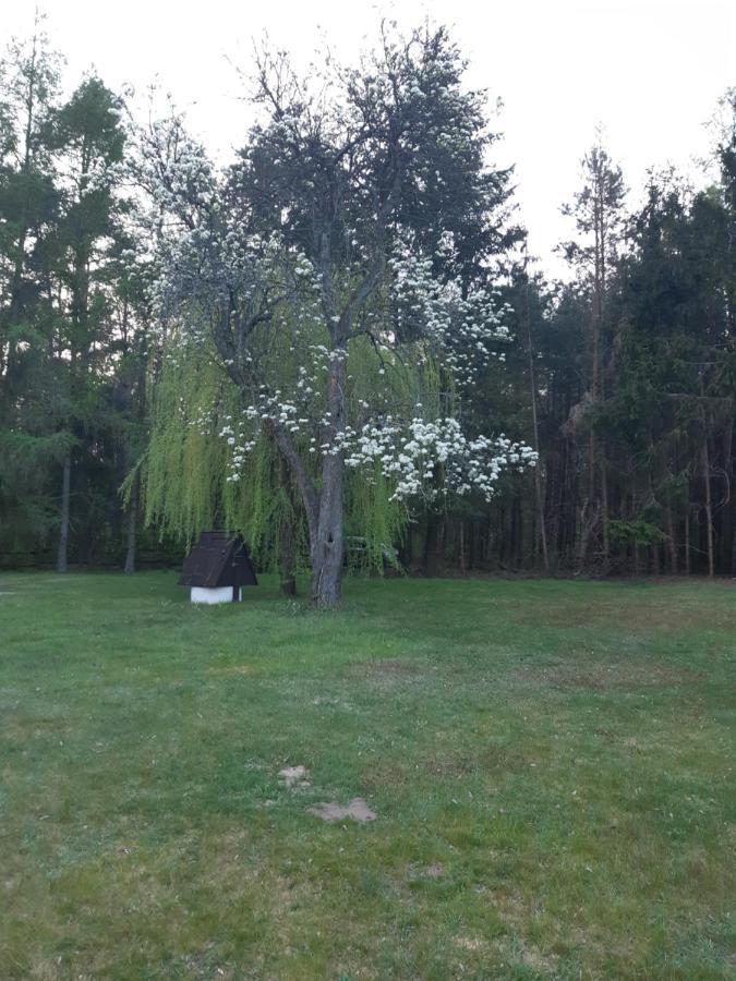 Lesna Polana Villa Górzno Dış mekan fotoğraf