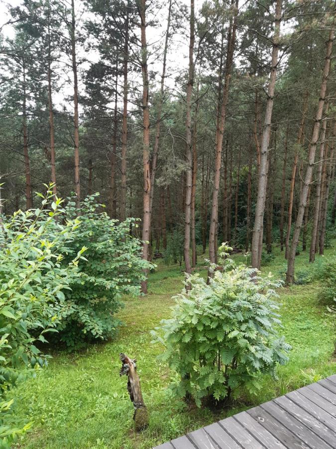 Lesna Polana Villa Górzno Dış mekan fotoğraf