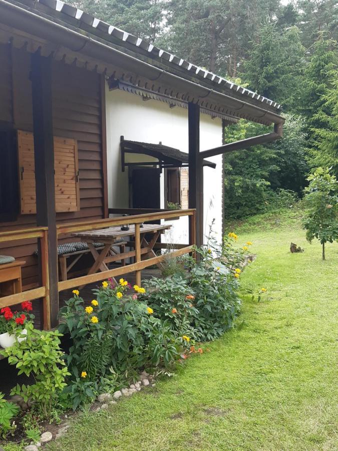 Lesna Polana Villa Górzno Dış mekan fotoğraf