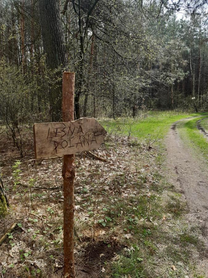 Lesna Polana Villa Górzno Dış mekan fotoğraf