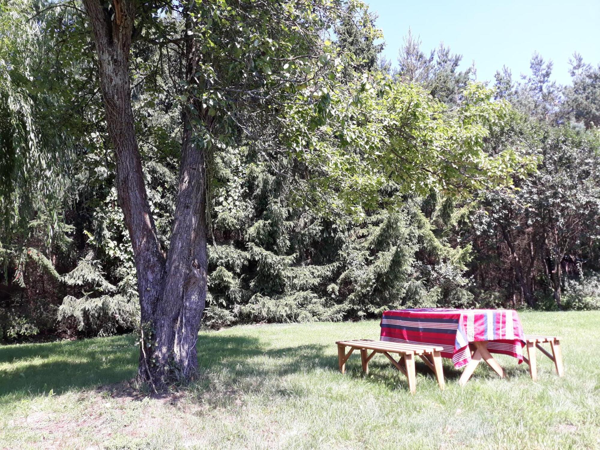 Lesna Polana Villa Górzno Dış mekan fotoğraf